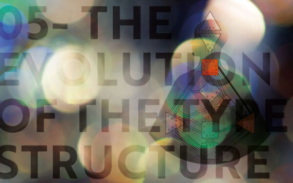 05 The Evolution of the Type Structure